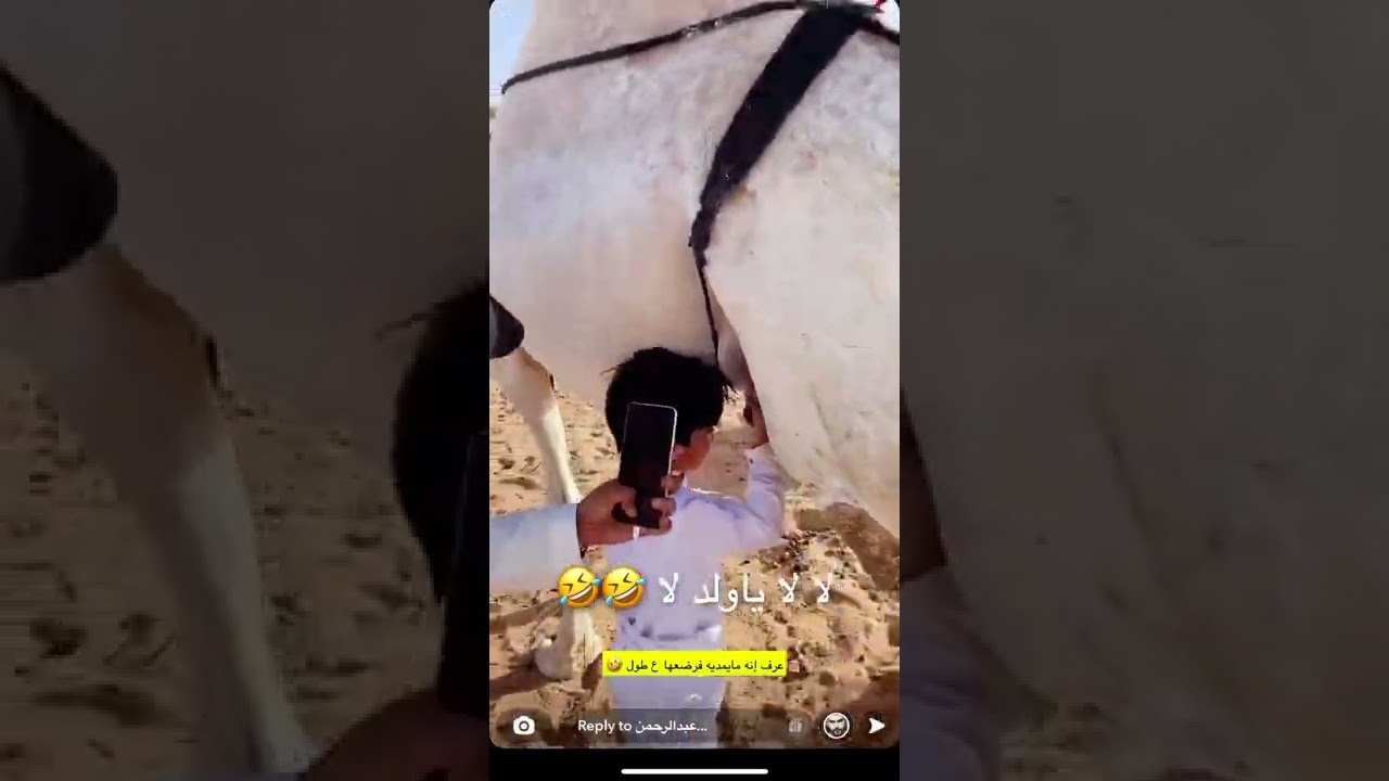 عبدالرحمن المطيري و عيال بن سبلا