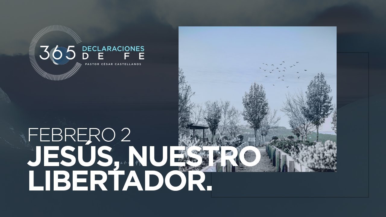 Febrero 2 - Declaraciones de fe