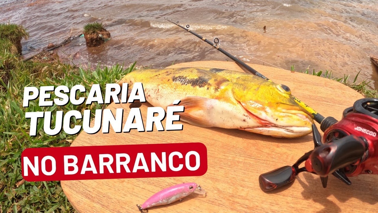 PESCARIA DE TUCUNARÉ simples de vara de mão e carretilha. Aprenda a pescar tucunaré no lago Paranoá.