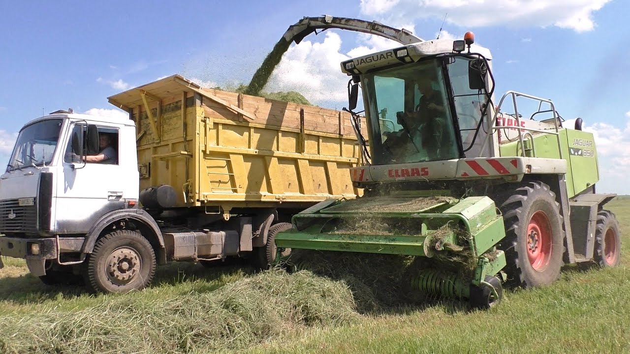 Заготовка сенажа. 2022/ CLAAS JAGUAR 870. МАЗ