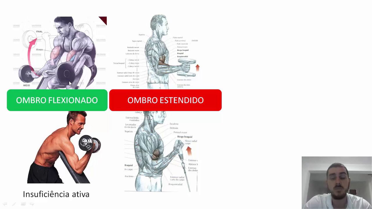 [CINESIOLOGIA E BIOMECÂNICA NA MUSCULAÇÃO] Análise do ROSCA BÍCEPS: variações e mecânica