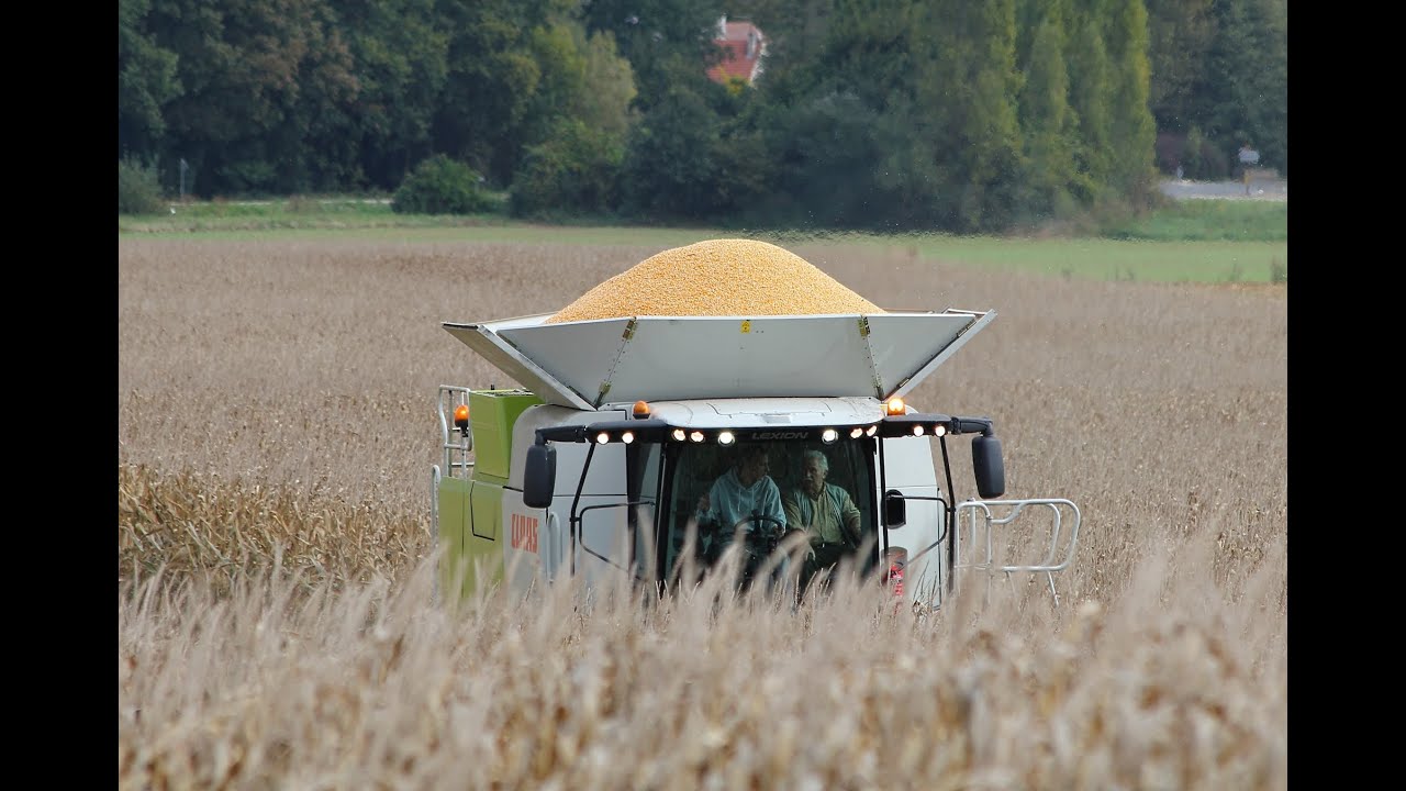 NEW CLAAS LEXION 770 Terra Trac   Corn Harvest