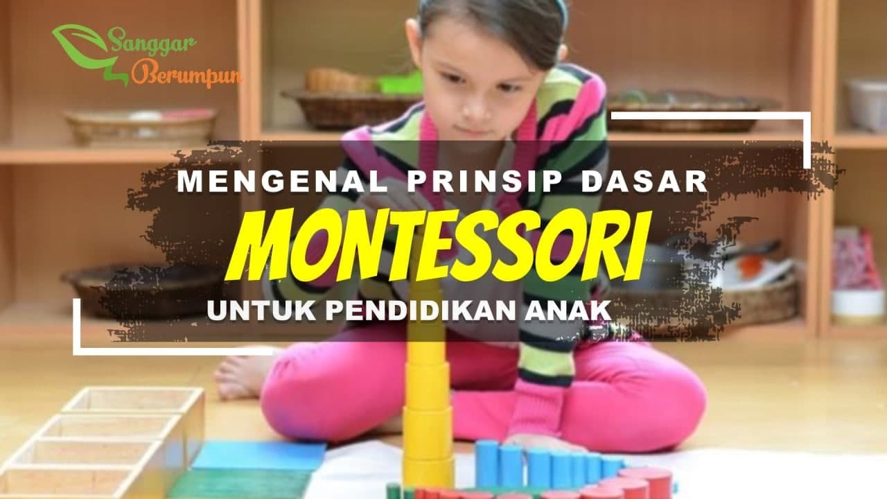 Mengenal Prinsip Dasar Metode Montessori Untuk Pendidikan Anak-Anak