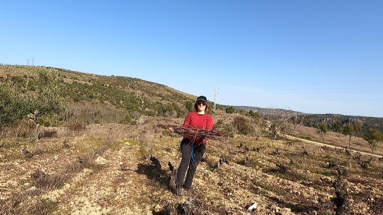 Trabalhos no Campo, como nós atamos as vides!