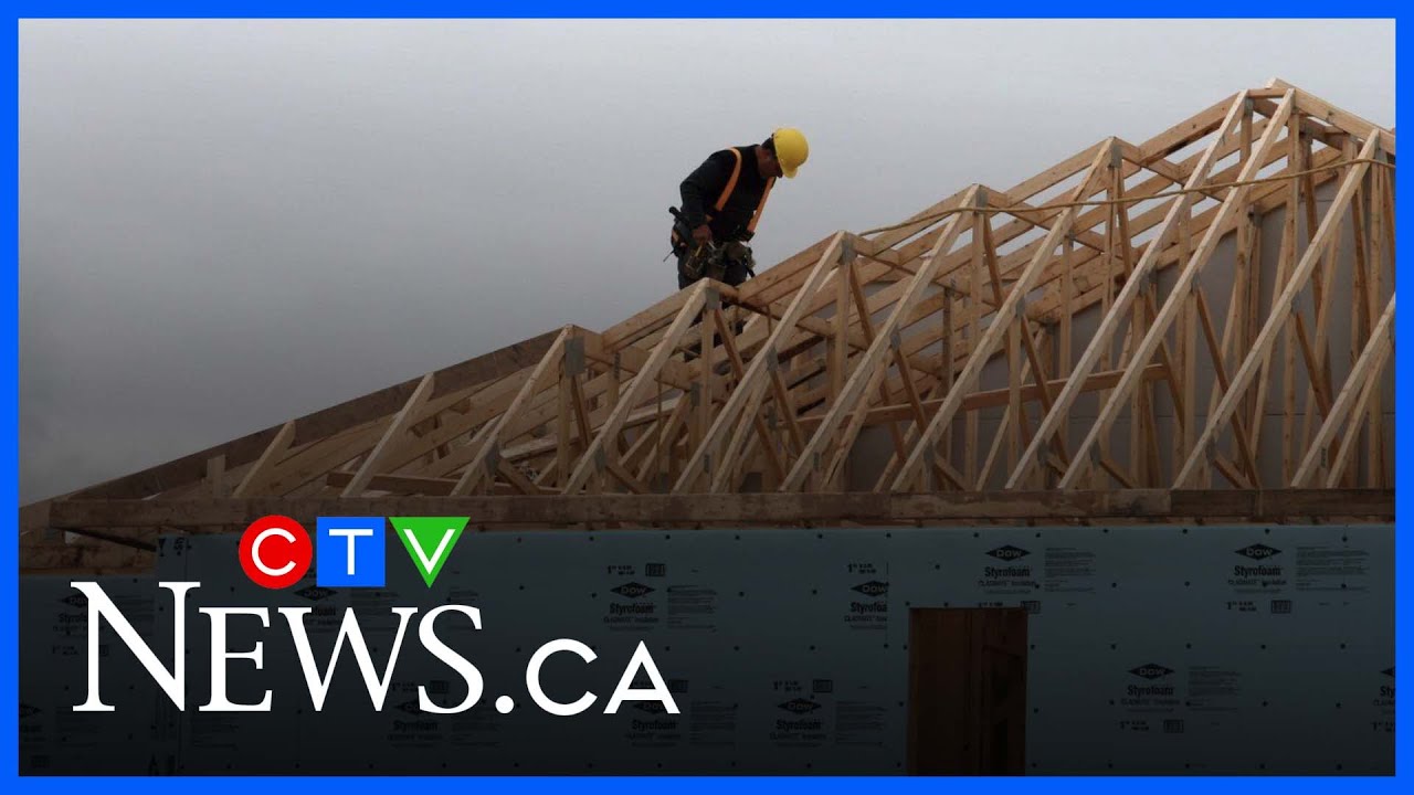 New &lsquo;Build Canada Homes&rsquo; project &lsquo;is no miracle&rsquo;: MP Aitchison