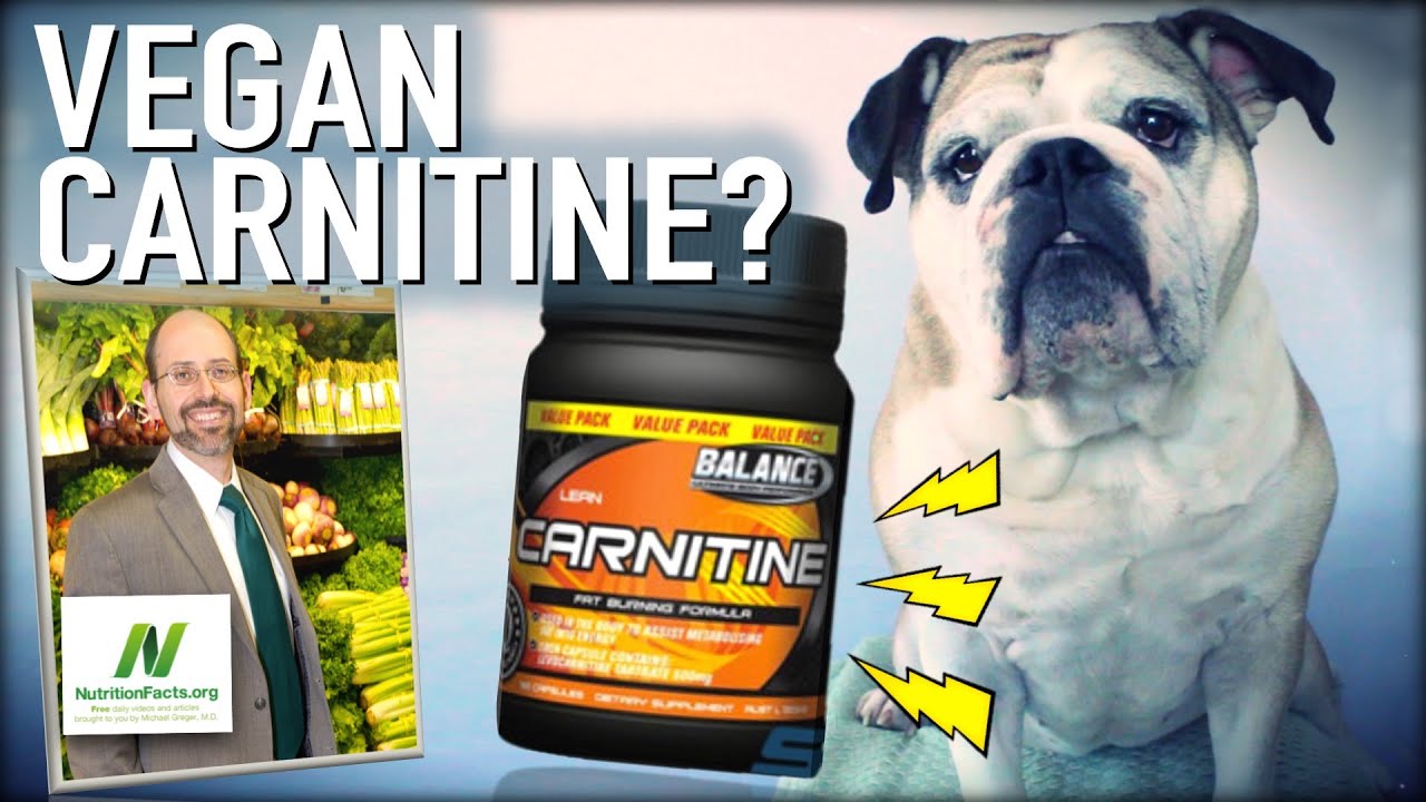 Carnitine, Carnosine & Creatine  OH MY! | Dr  Michael Greger of Nutritionfacts.org