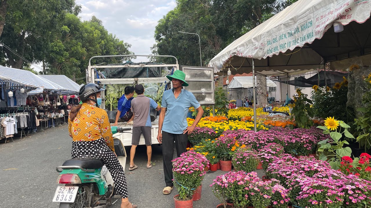 Cập Nhật Giá Hoa Kiểng Chợ Cao Lãnh Ngày 25 Tết- Tưng bừng rực rỡ sắc màu nhiều hoa mới độc lạ