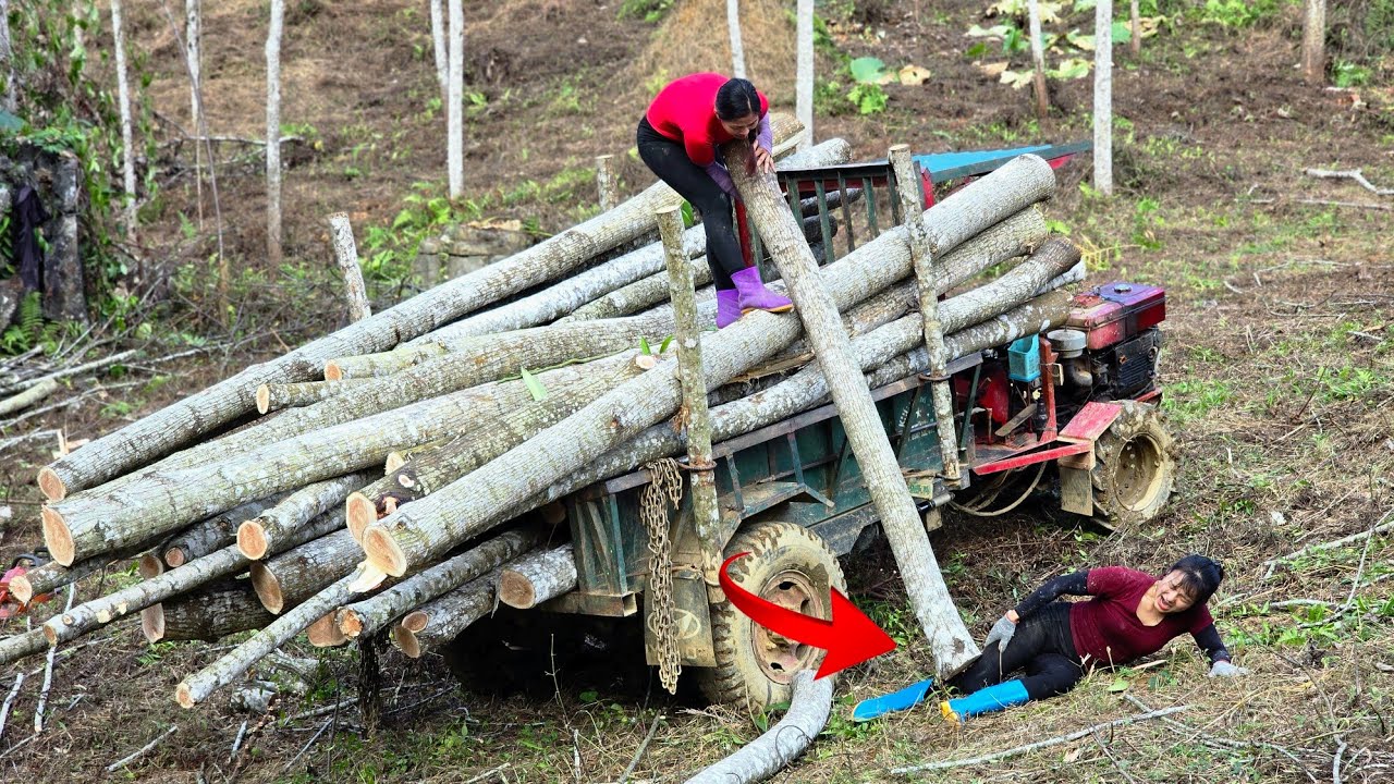  Agricultural vehicle, log unexpectedly falls, nearly breaking the girl's leg.#wood #truck #farm 