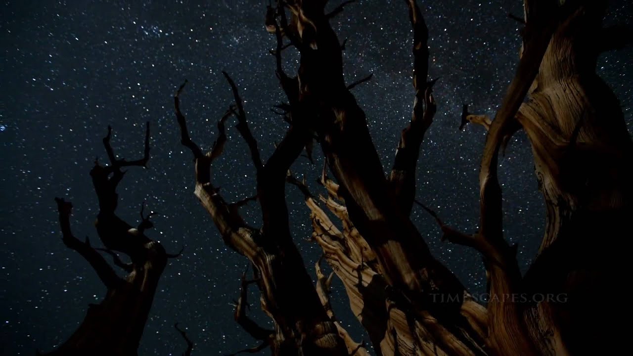 Timescapes Timelapse: 