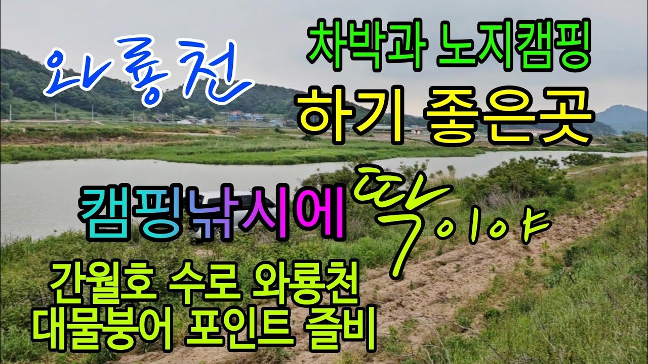 간월호의 산란터 와룡천의 대물붕어 캠핑과 낚시가 가능한 천혜의 노지캠핑낚시 장소