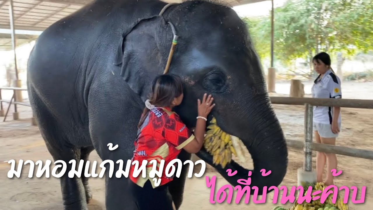 มาดูกัน‼️มาบ้านดาวได้อะไร🥰❤️🙏🏻