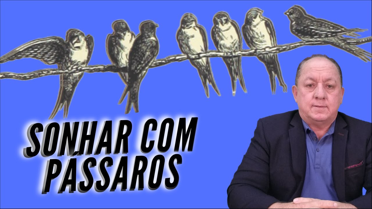 O QUE SIGNIFICA SONHAR COM PÁSSAROS