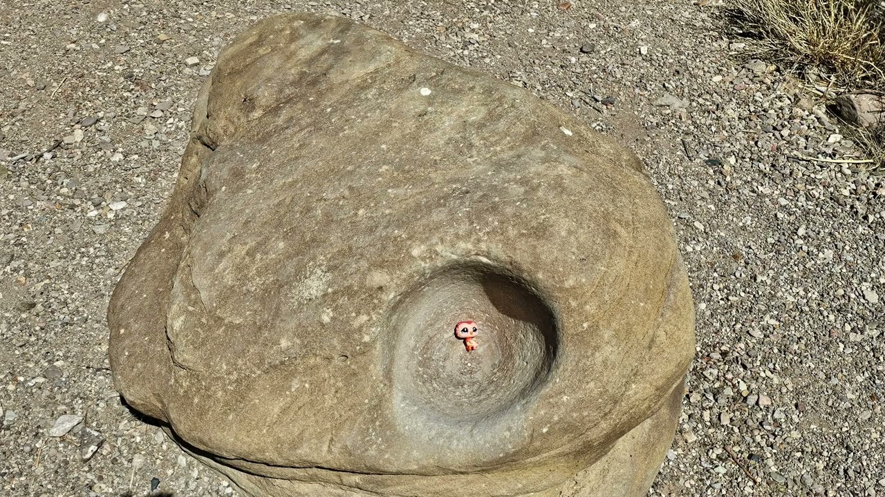 Ann's Friday Photos - Big Bend National Park - Day two
