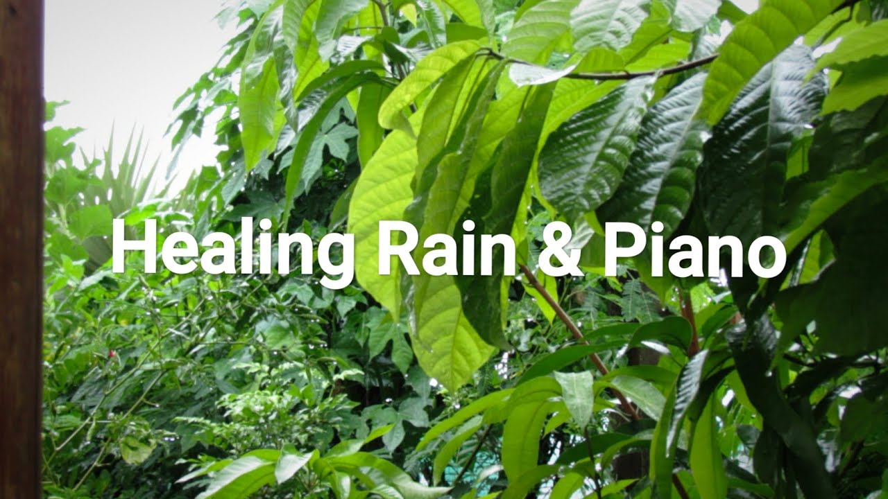 Peaceful Piano with Rain Sounds 🌧️| Stress Relief & Deep Sleep