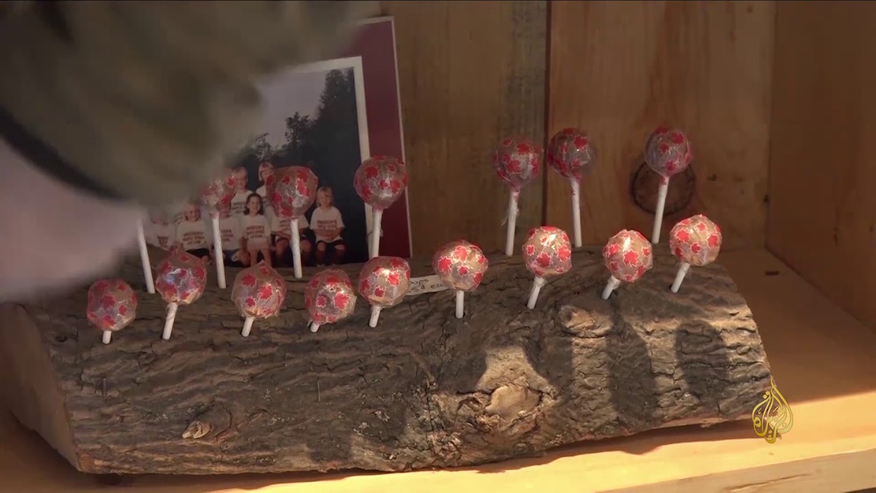 هذا الصباح-عصير القيقب.. الشراب الأشهر في كندا