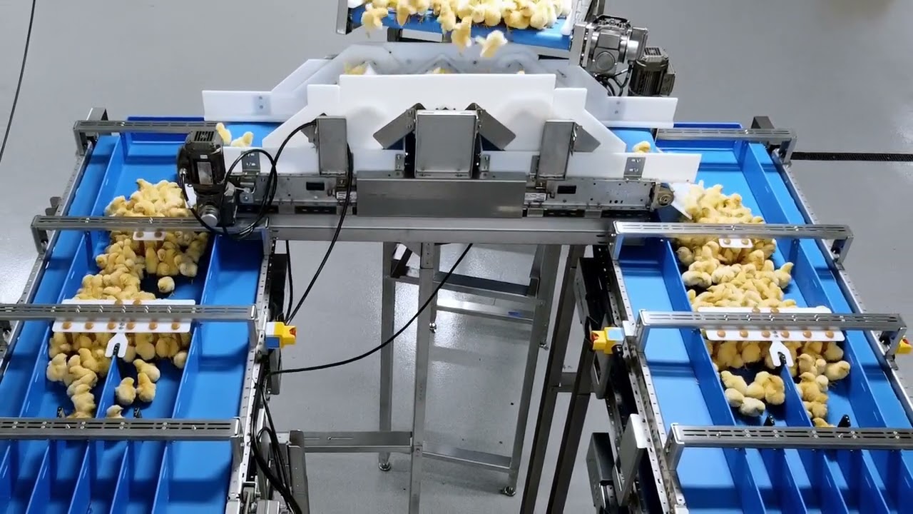 Improve production efficiency with WingScan by TARGAN