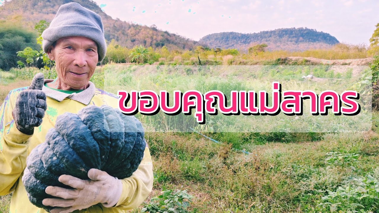 ขอบคุณแม่สาครอุดหนุนฟักทองตาชาน