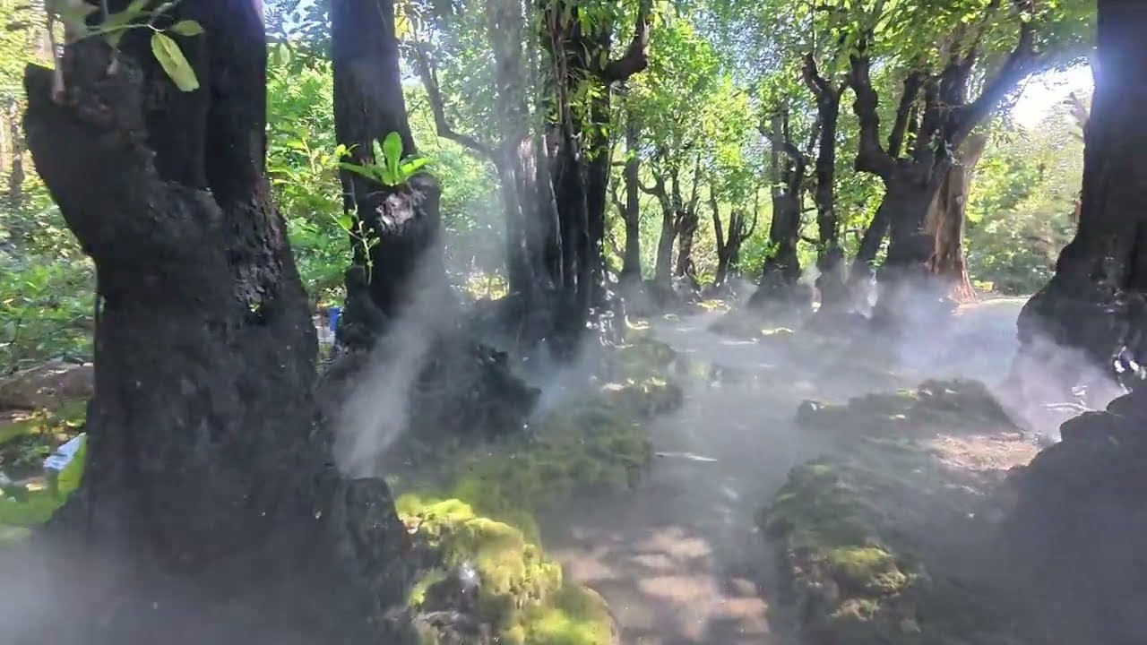 Changthong Heritage Park in Chiang Mai in 4K