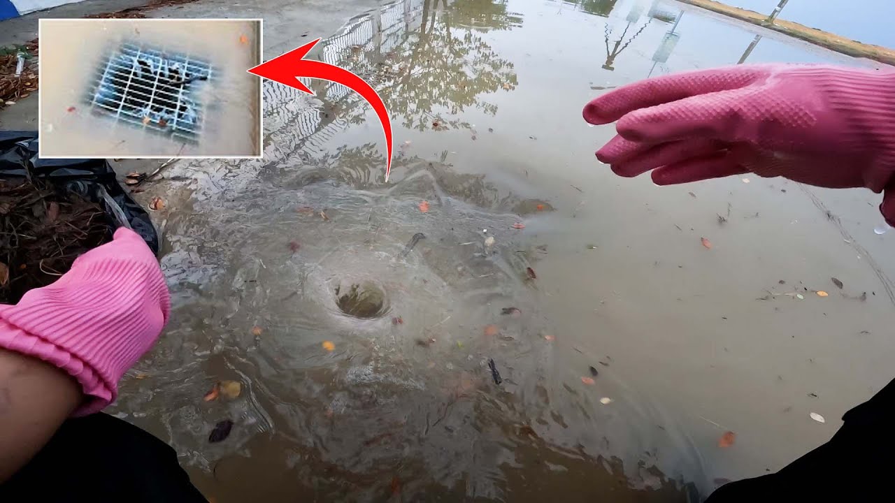 Unclogged The Drain After Heavy Raining With Big Whirl Water