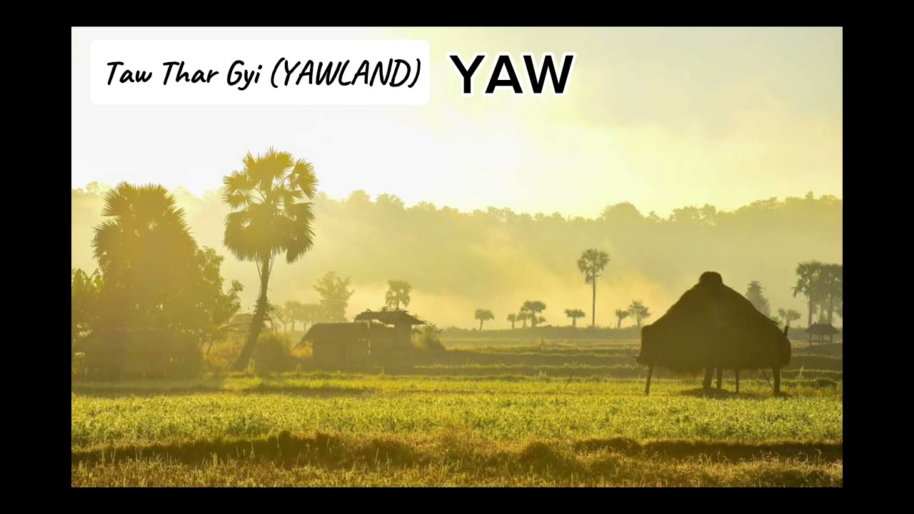 ယော / YAW (2019)