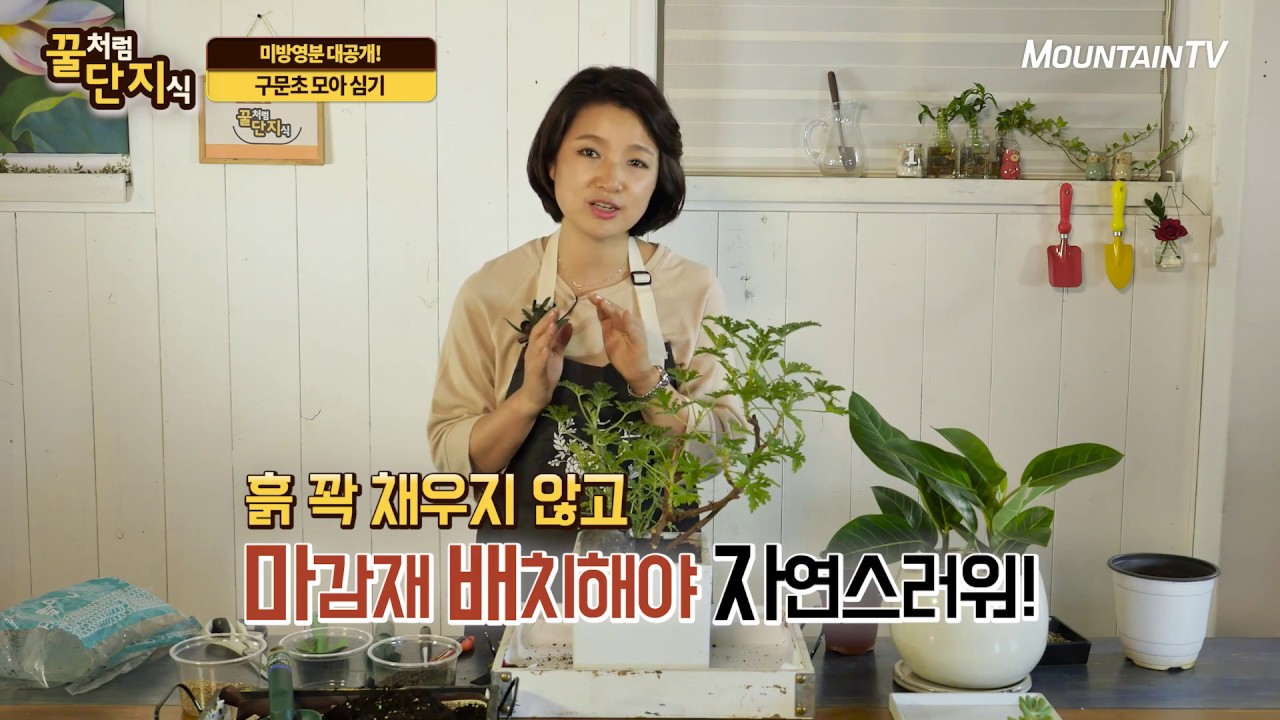 미방영분 대공개! 모기쫒는 식물 구문초 모아심기 | 원예고수되기#46 | 마운틴TV특강 꿀단지