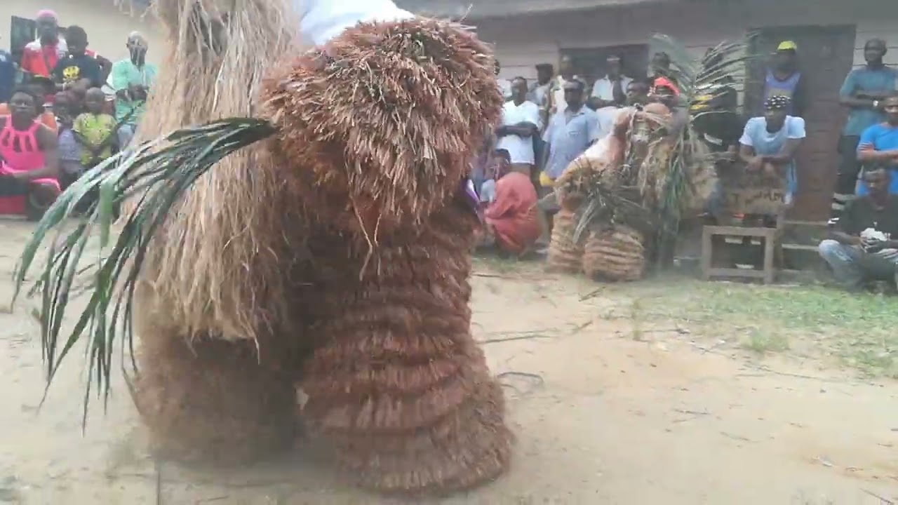 Mekuyo mía los cocos