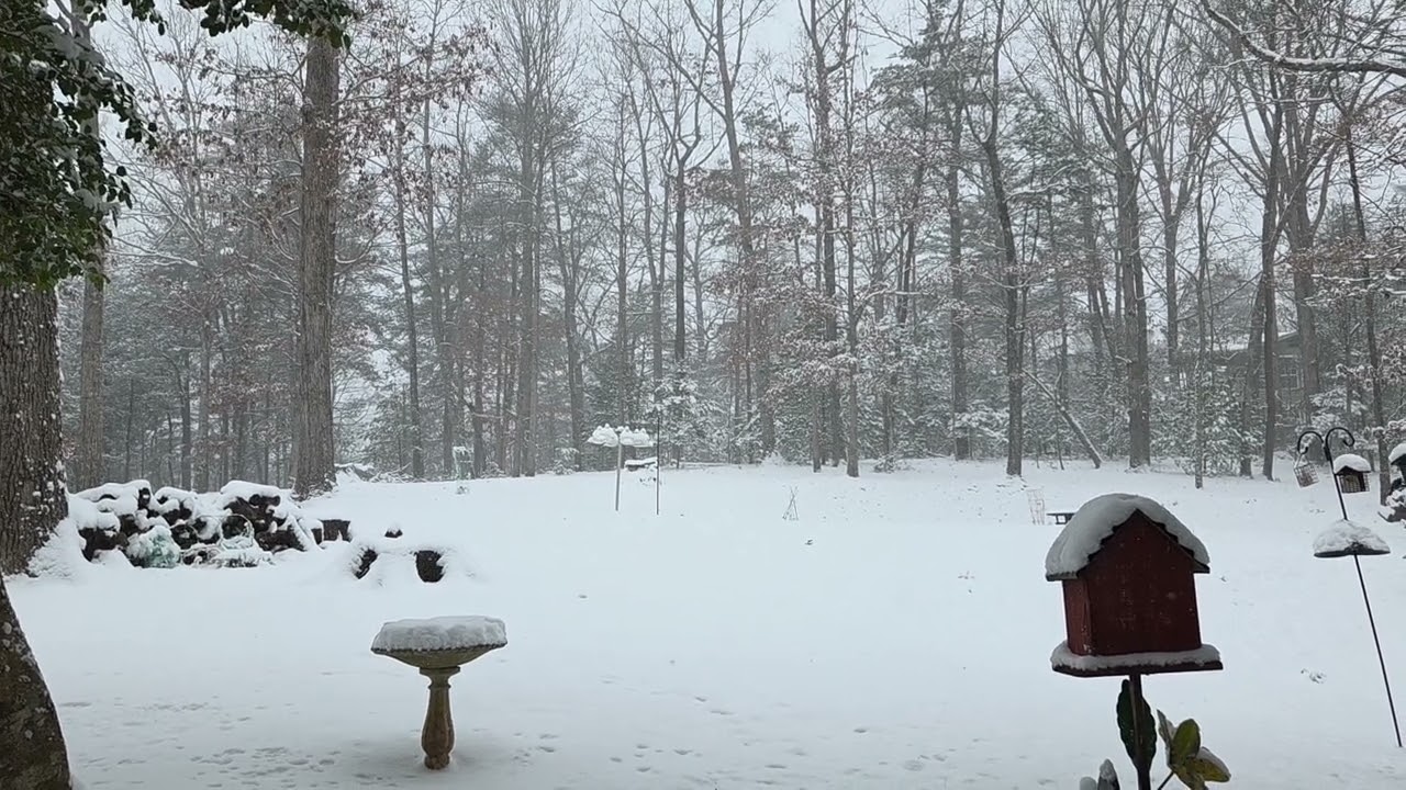 Snow day in the north Georgia mountains ❄️