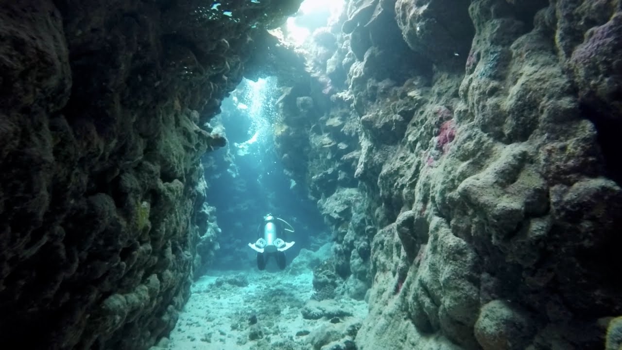 Scuba diving in Marsa Alam, Egypt - March 2023