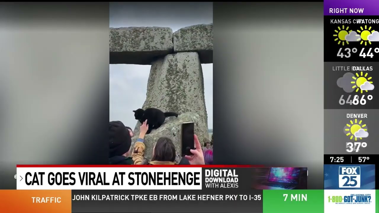 Digital Download: CAT TAKES OVER STONEHENGE #digitaldownloadwithalexisyoung