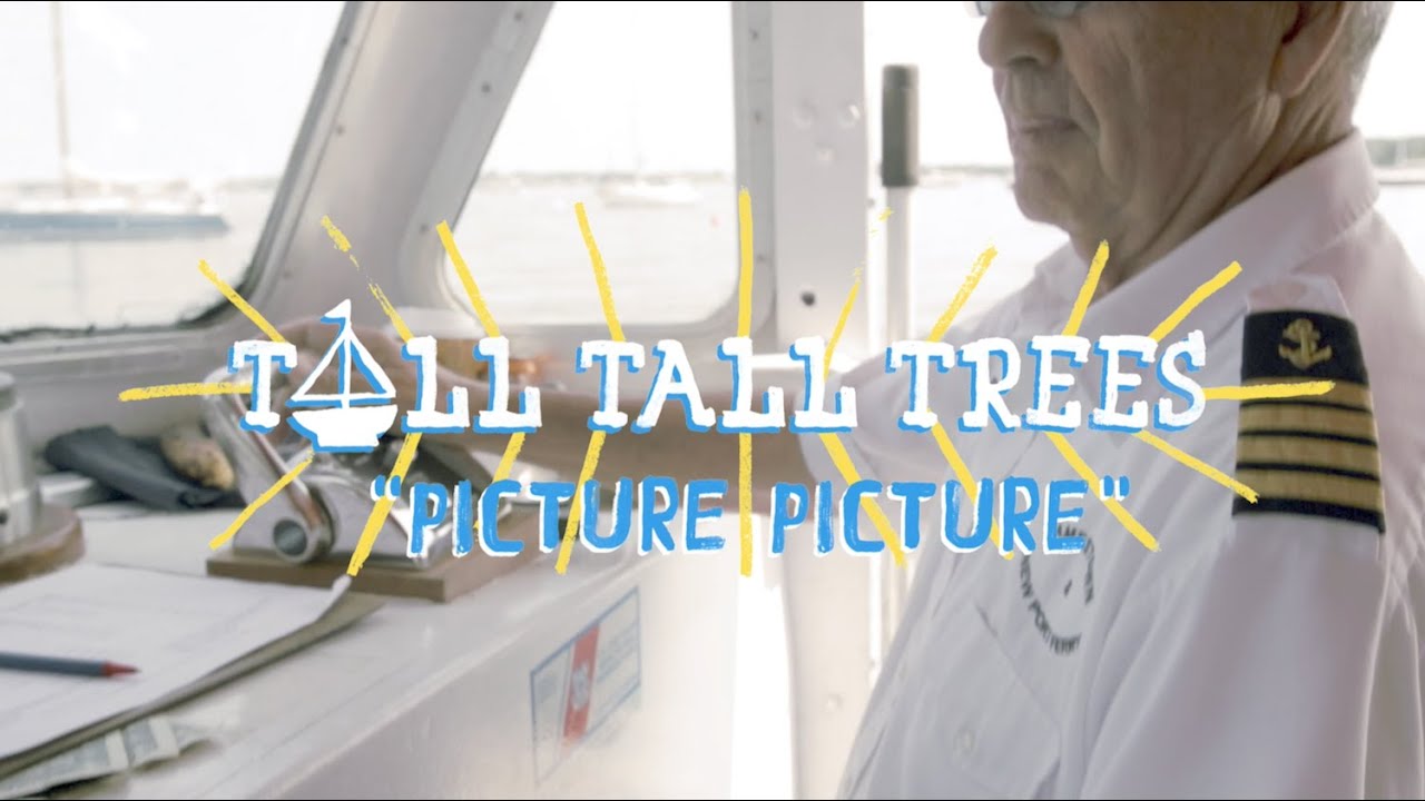 Tall Tall Trees - Picture Picture | The Wild Honey Pie On The Boat