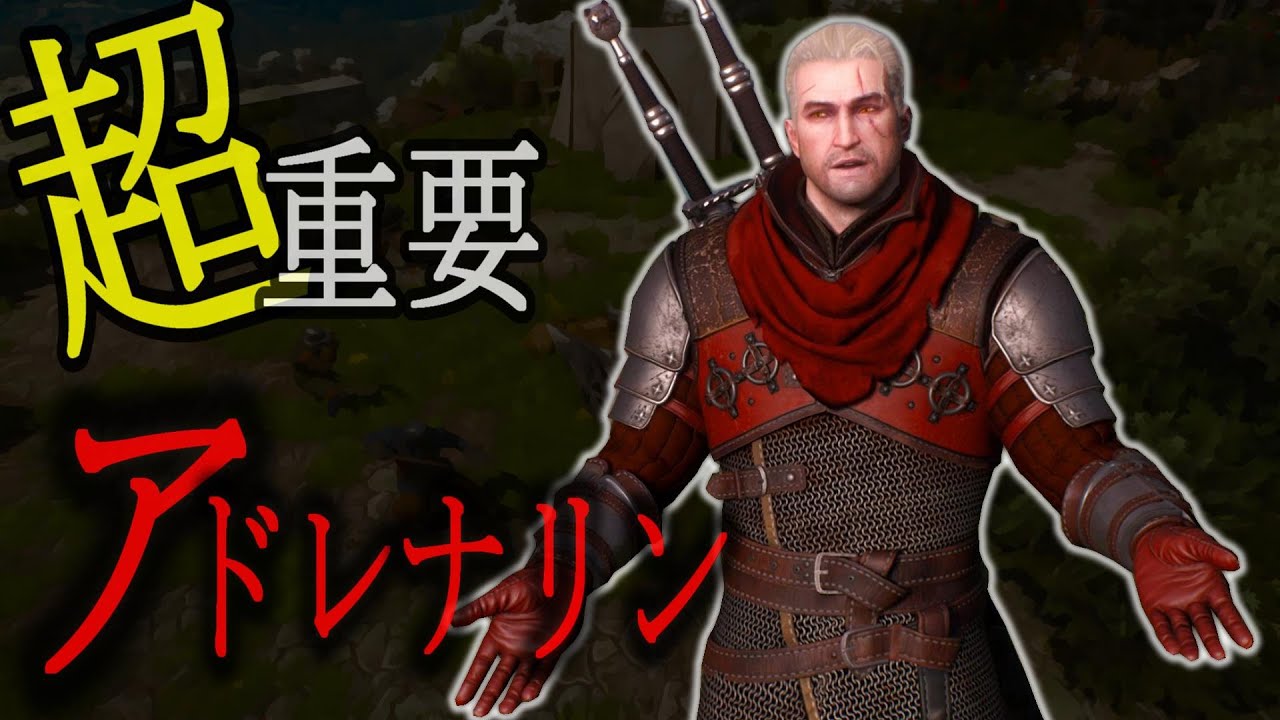 ウィッチャー3：超重要！アドレナリンについて解説　その他アドレナリン使用のアビリティなど【TheWitcher】