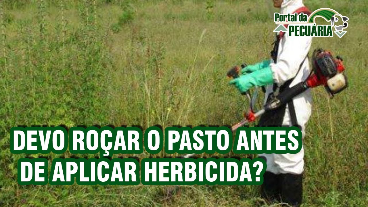 Devo ro&ccedil;ar os pasto antes de aplicar herbicida?