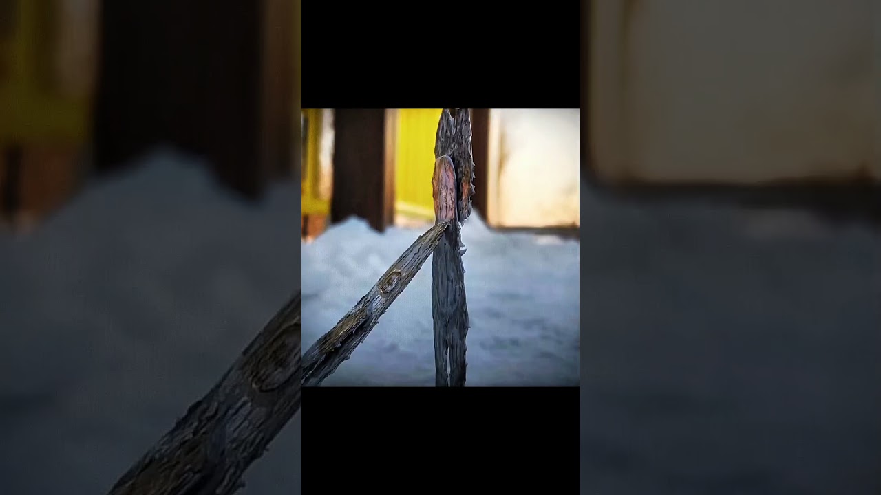 завтра видео, ждёте?🫨 #paperdog #бумажныесобаки #бдб #творчество #paperanimals #paper