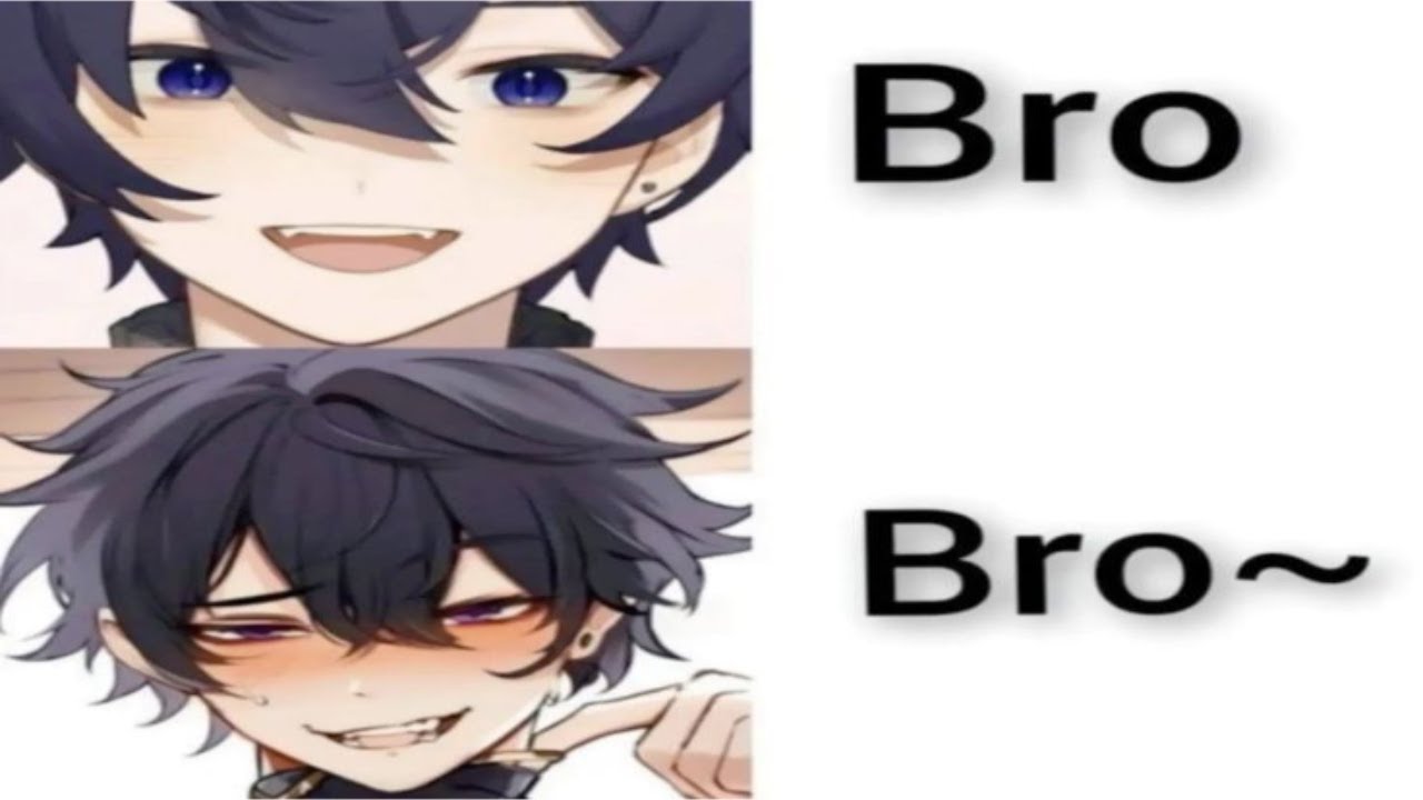 Memes I Got From Bro~ V65