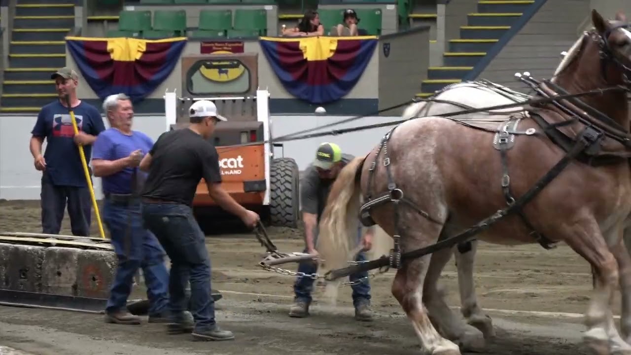 Horse Pull Event, The Big E, Sept. 2024