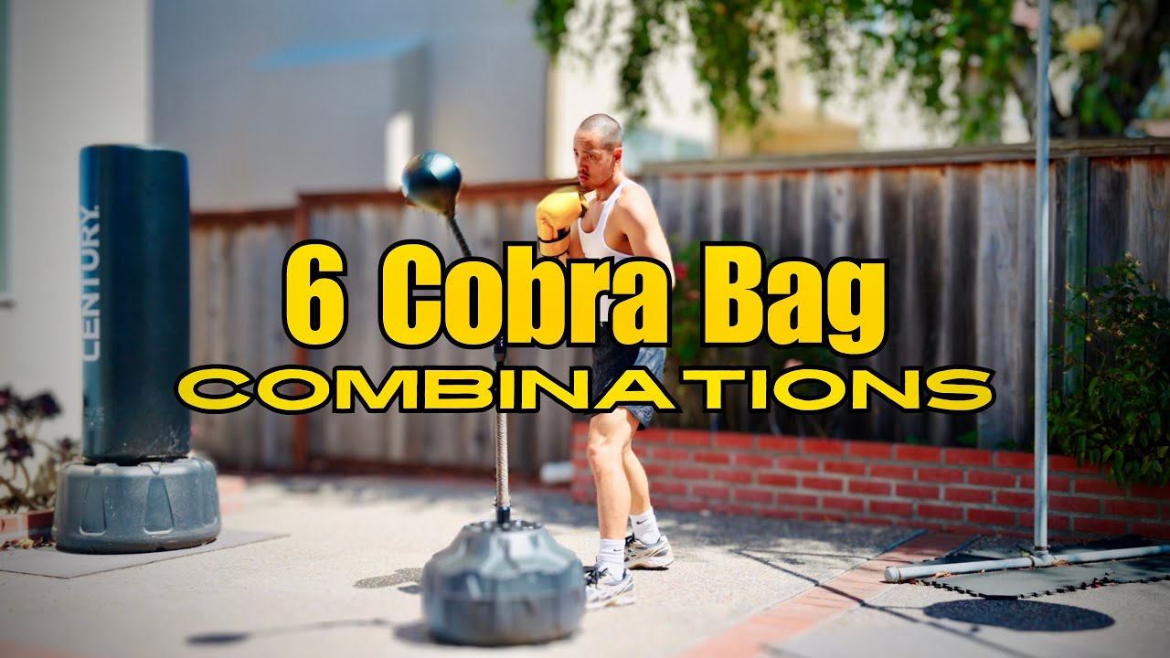 6 Cobra Reflex Bag Drills 🥊🐍