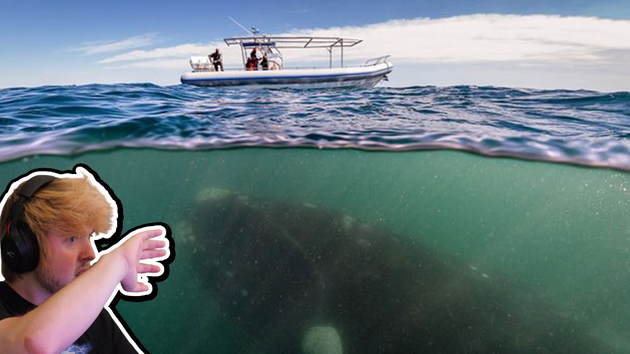 Reacting To Thalassophobia #4