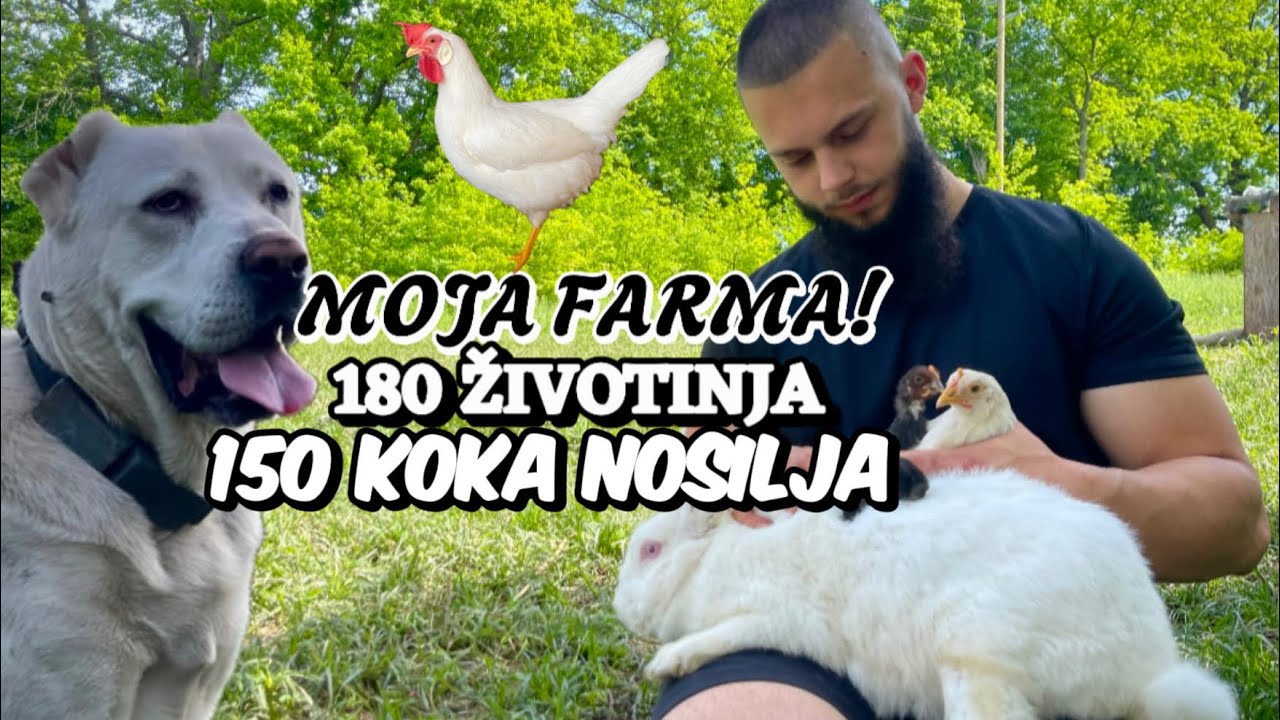 Farma Koka Leghorn!🐥🐓Brojimo ljubimce i kupamo Groma! Sezona je otvorena! 🌊