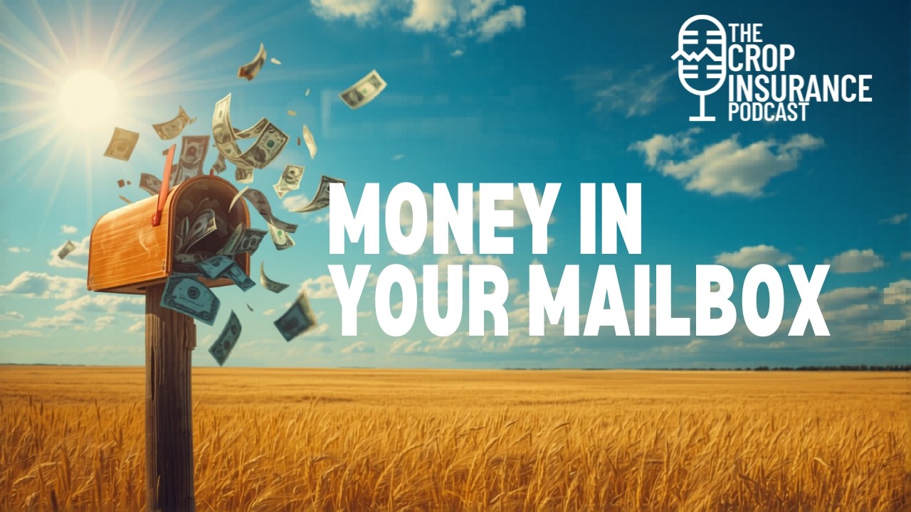 There's Money in Your Mailbox: The OBBBA Farm Program Update