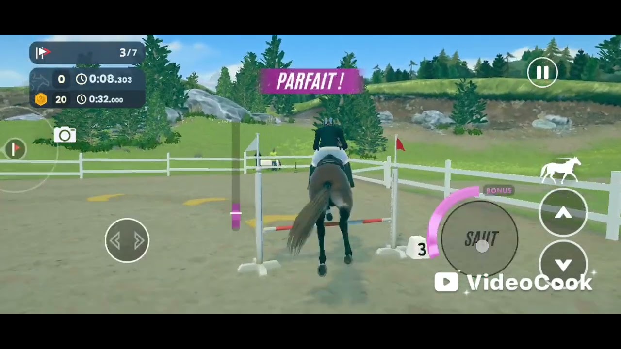 Présentation de mon deuxième cheval ark un selle français