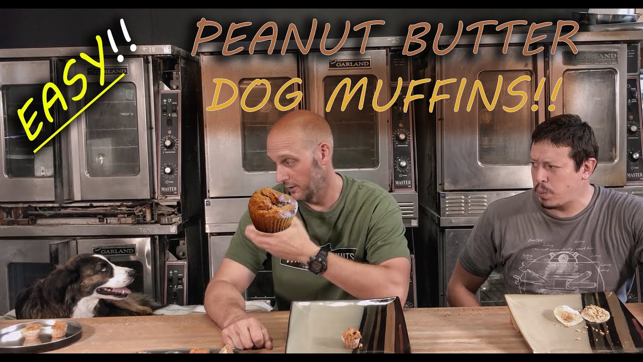 Peanut Butter Dog Muffins (soft dog treats) Homemade Dog Treats. We Test them at the END!