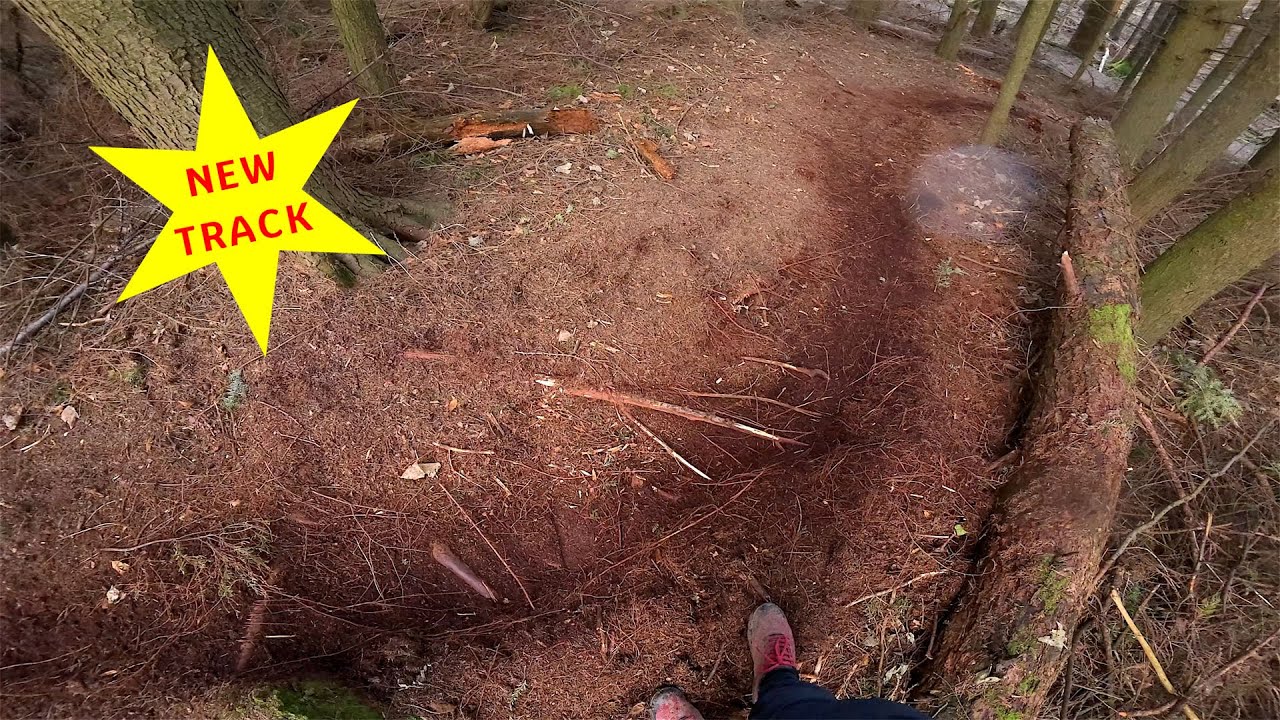 NEW TRACK 👍 first hits. Tollymore MTB #mtb #tollymore #marinalpinetraile2