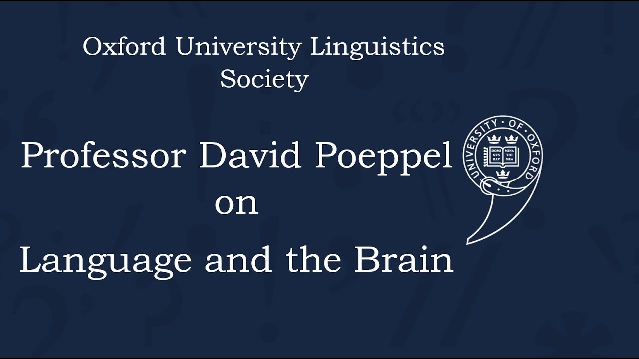David Poeppel on Language and the Brain - Oxford University Linguistics Society