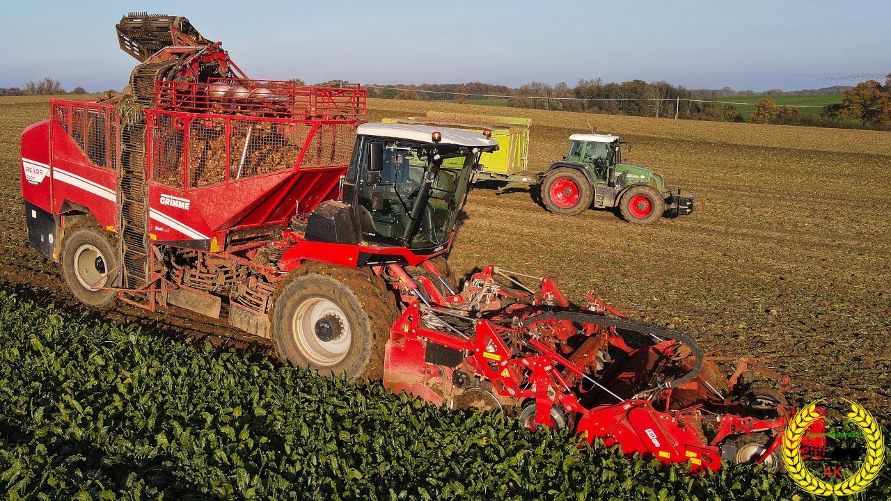 Rübenernte / Grimme Rexor 620 Platinum / Fendt / Stronga / Original Sound