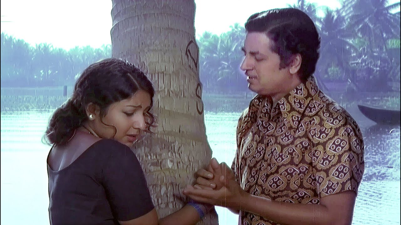 മണ്ടിപ്പെണ്ണേ നീയെന്നെ വിഷമത്തിലാക്കരുത് | Prem Nazir | jayabharathi | Cheenavala Movie Scenes
