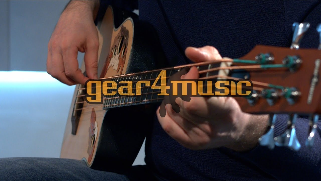 Roundback Electro Acoustic 5 String Bass Guitar Performance