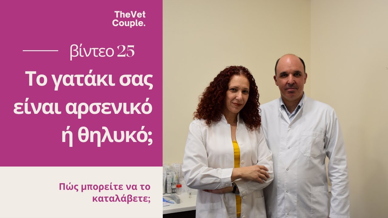 Το γατάκι σας είναι αρσενικό ή θηλυκό;