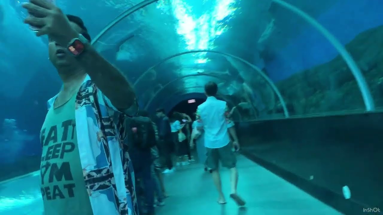 Singapore Oceanarium with kids 14 December 2025