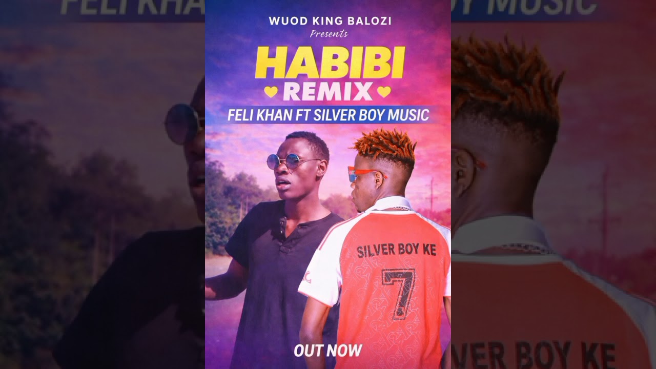FELI KHAN X SILVER BOYMUSIC (MY HABIBI REMIX) OFFICIAL MUSIC AUDIO 