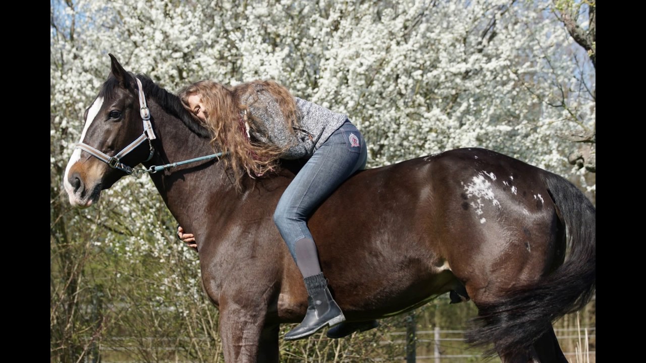 Pferdefotoshooting mit Fabian Menzel